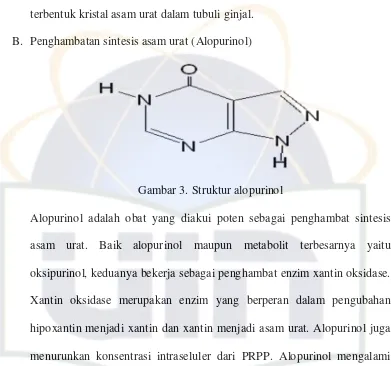 Gambar 3. Struktur alopurinol 
