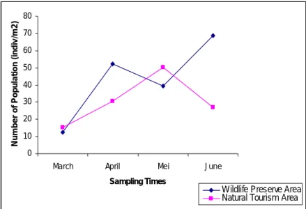 Figure  2.        Patterns  of    Soil  Fauna  from  Two  Ecocystems;  Wildlife- Wildlife-Preserve Area  and Natural Tourism Area (averages over ten  replication) 