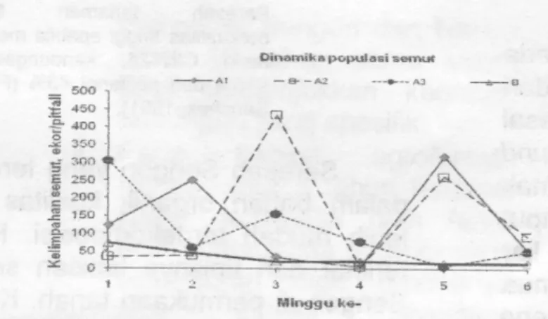 Figure 2. The weekly observation of the dynamics of the ants in each of the        location of the study 