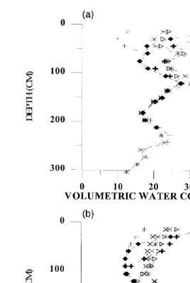 Fig. 5. Volumetric water content with depth for both subplots during the January simulation.Ž .a SE pedon; b NW pedon.Ž .