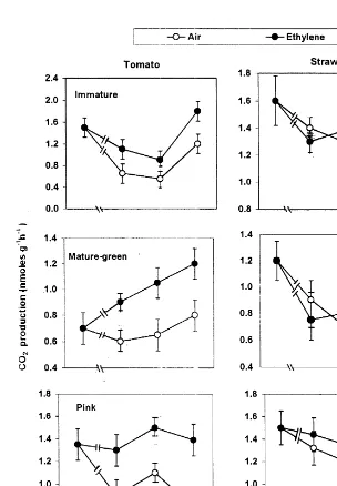 Fig. 4. Effect of exogenous ethylene treatment on CO2 production by tomato and strawberry fruit tissues at different developmentalstages