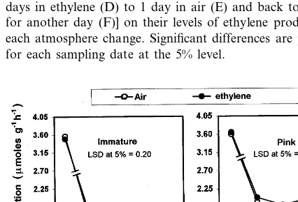 Fig. 4. Effect of transferring excised tomato gel tissue from airto 4.5 �mol l−1 ethylene and back to air [air–ethylene–air;starting with 3 days in air (A) to 1 day in ethylene (B) andback to air for another day (C)] or to the opposite order ofatmosphere e