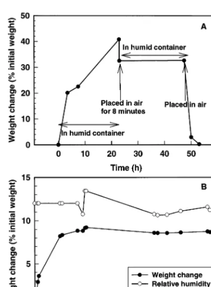 Fig. 2. (A) Changes in weight of onion skin after successivetransfers between a humid chamber and air