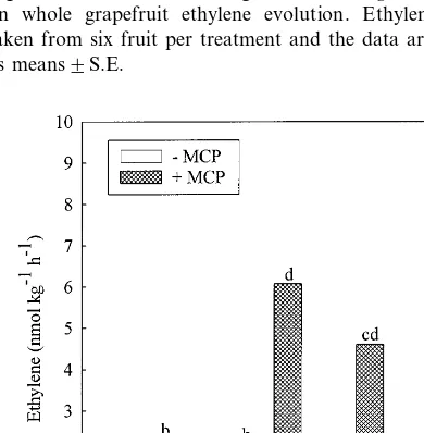 Fig. 3. Effects of 1-MCP fumigation and P. digitatum infectionon whole grapefruit ethylene evolution