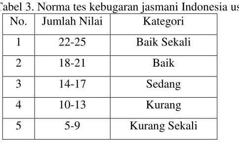 Tabel 3. Norma tes kebugaran jasmani Indonesia usia 16-19 tahun 