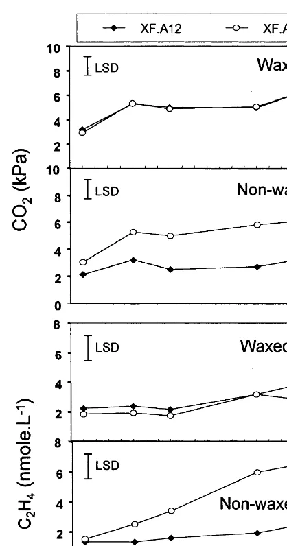 Fig. 5. Effects of fruit waxing and type of ﬁlm (XF.A12 andXF.A14) on accumulation of CO2 and ethylene in 4-kg bags ofmango cv