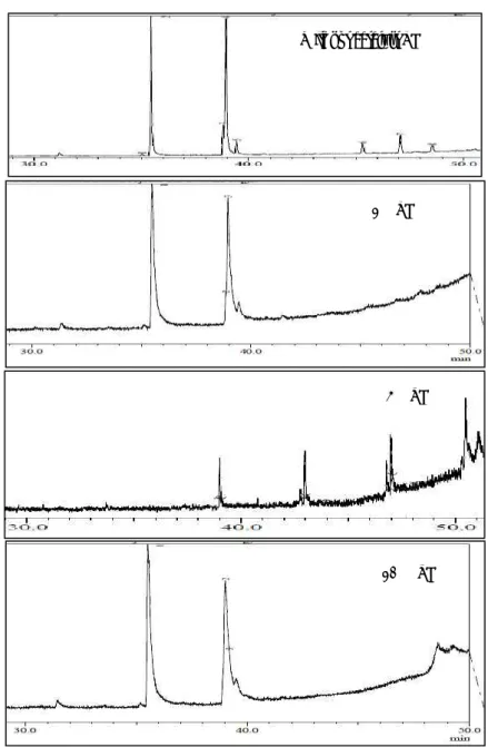 Figure 3. Chromatogram GC of transesterification product  