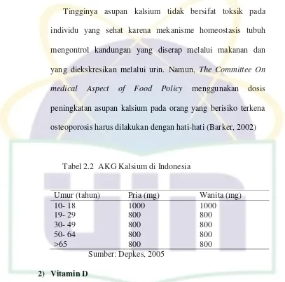 Tabel 2.2  AKG Kalsium di Indonesia 