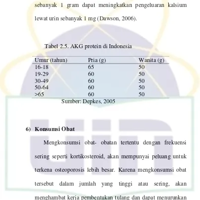 Tabel 2.5. AKG protein di Indonesia 