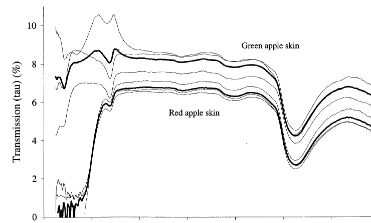 Fig. 5. The transmission spectra (�2) of green and red apple skin.