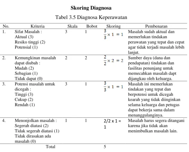 Tabel 3.5 Diagnosa Keperawatan 