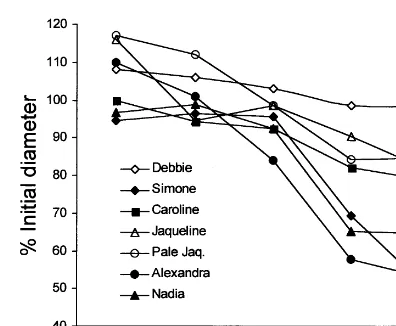 Fig. 4. Variation in postharvest life of kalanchoe¨ cultivars.Replicate plants of different kalanchoe¨ cultivars were placed inthe greenhouse or in an interior environment