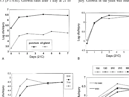 Fig. 1. Population kinetics of C. oleophila in injuries to oranges. (A) Growth in puncture and oil gland injuries during 7 days at21°C