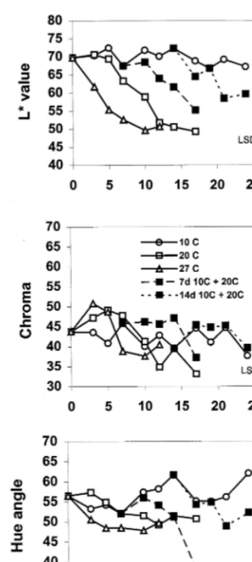 Fig. 2. Changes in ﬂesh color of sapote mamey fruit asaffected by ripening or storage temperatures