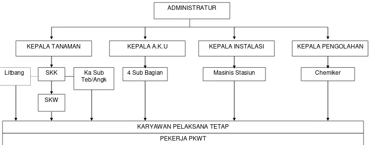 Gambar 3.1.  Struktur Organisasi PG Tasikmadu 