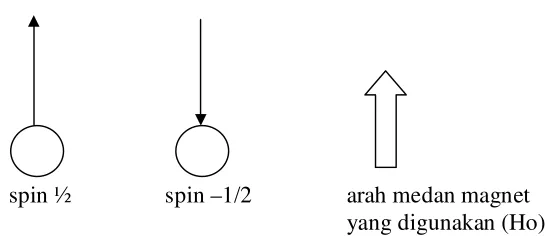 Gambar 40. Kedudukan dua spin dari proton 