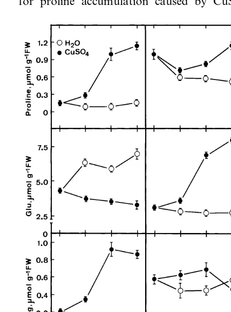 Fig. 2. Effect of various divalent metals on proline contents indetached rice leaves. Proline was determined 24 h after treat-ment of metals (10 mM) in the light
