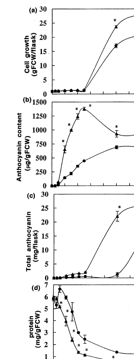 Fig. 1. Changes in fresh weight and anthocyanin accumula-tion of CM- and SM-cultured strawberry cell suspensions.CM:Cells (1 g FW) were cultured in 100 ml of CM and SM on arotary shaker (80 rpm) under 8000 lux