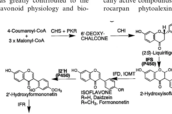 Fig. 1. Biosynthesis of isoﬂavan phytoalexins, vestitol and sativan. P450 enzymes involved are emphasized in bold letters
