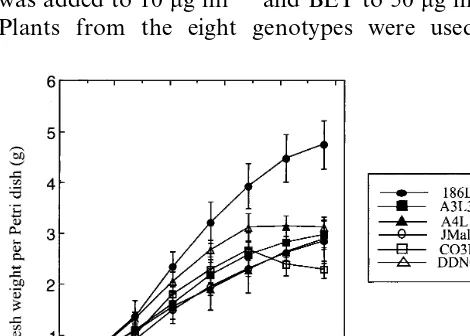 Fig. 1. Growth of habituated embryogenic callus lines onbasal medium. The values are mean of ten repetitions�stan-dard deviation