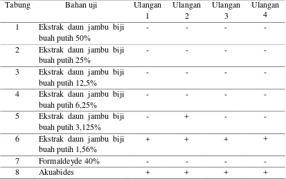 Tabel 4. Hasil pengujian konsentrasi KHM ekstrak daun jambu biji buah putih terhadap Staphylococcus aureus yang diisolasi dari abses 