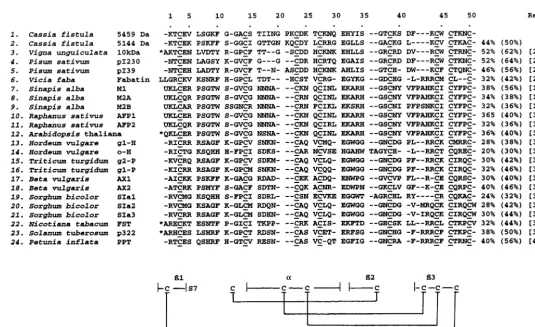 Fig. 5. Sequences of C[12,27–40]. Also shown is the pattern of disulphide linkages found forof theintroduced for alignment of related sequences; * indicates additional cDNA-derived sequences that are not shown; g1-H, gamma-1-hordothionin; o-H, omega-hordot