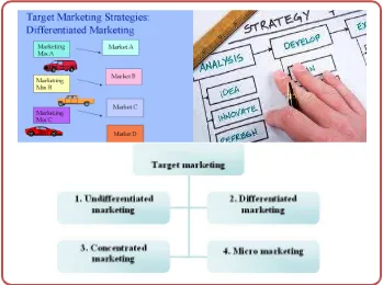Gambar : Strategi pemilihan sasaran pemasaran 