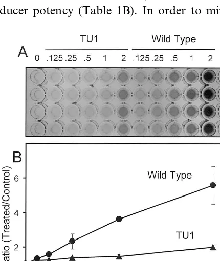 Fig. 3. Induction of QR activity in murine TAOc1BPrc1 cellsby phosphate buffer extracts of wild type (circles) and TU1(triangles) A