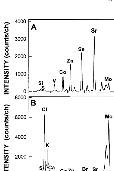 Fig. 1. (A) Spectrum of an aqueous multielement standardsolution with approximately 10at 856 mol m �g ml−1 of each containedelement