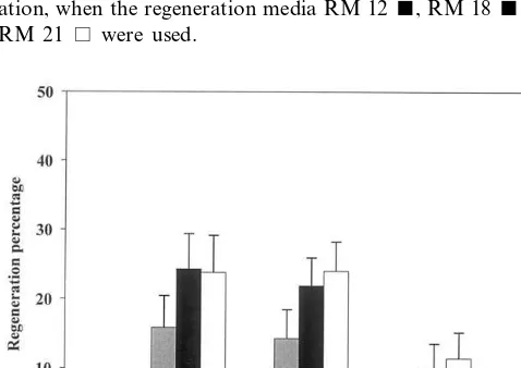 Fig. 3. Regeneration percentages from leaves of the cultivars‘Helena’, ‘Bu´lida’, ‘Canino’ and ‘Lorna’ cultured in the regen-eration media RM 12 �, RM 18 � and RM 21 �.
