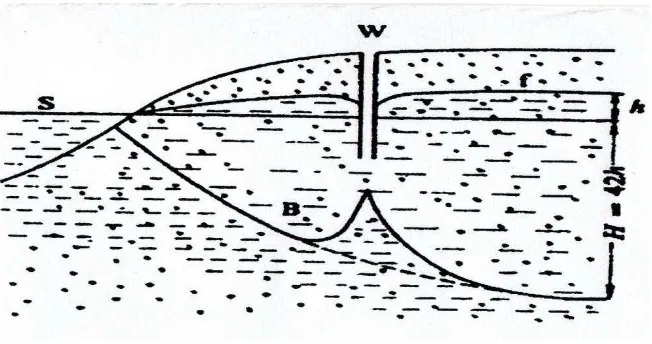 Gambar : 2.1  Hukum Herzberg pada air tanah tawar dan asin dekat garis pantai 