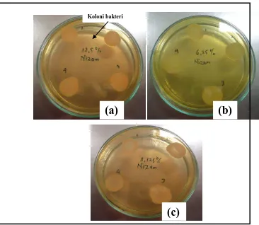 Gambar 7: (a). Koloni bakteri pada konsenterasi 12,5% (b). Koloni bakteri pada konsenterasi 6,25%, (c)