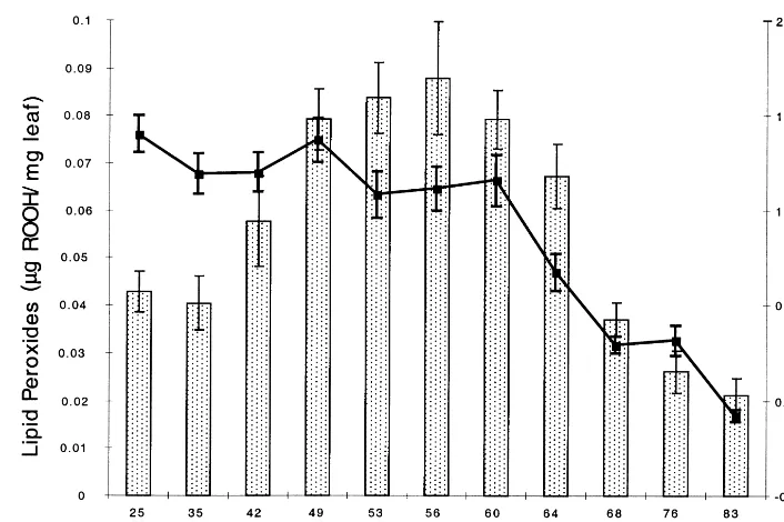 Fig. 3. Leaf lipid peroxide level as a function of life history stage. Lipid peroxides (columns) were measured using the FOX assayand are expressed as �g of ROOH per mg of leaf tissue