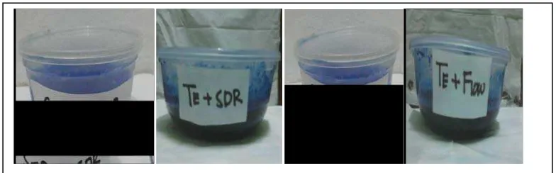 Gambar 21. (A) Sampel direndam dalam air es bersuhu 5o C, (B) Waktu transfer selama 10 detik, dan (C) Sampel direndam dalam waterbath bersuhu 55o C dan proses diulang sebanyak 200x