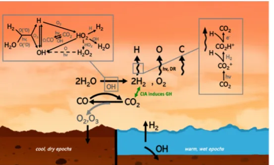 Figure 2.1: Mars H, C, O chemistry including ground sinks and escape processes.