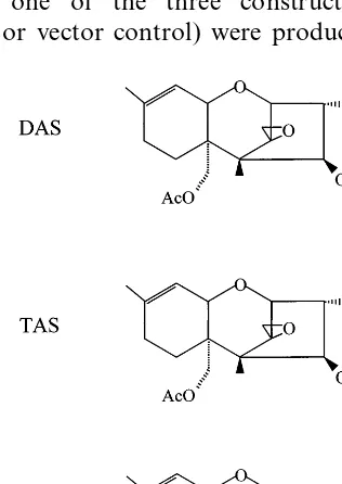Fig. 1. Structures of the trichothecenes DAS, TAS, and DON.
