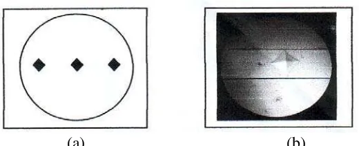 Gambar 17. (a) Skematik Letak Titik Jejasan Pada Sampel (b) Bentuk  