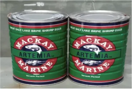 Gambar 8.  Artemia 