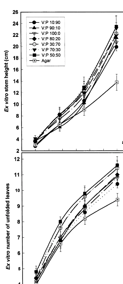 Fig. 5. (a) Stem height and (b) number of unfolded leaves exvitro of sweet potato plants previously grown photoau-supporting material consisting of various percentages of ver-miculite (v): paper pulp (p)