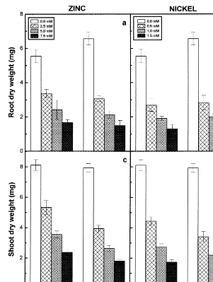 Fig. 2. Dry matter accumulation in roots (a) and (b) and shoots (c) and (d) of the 6-day-old seedlings of two pigeonpea cultivarsin response to different concentrations of Zn (a and c) and Ni (b and d) supplied