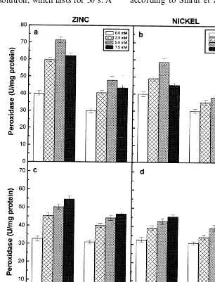 Fig. 4. Peroxidase activity of the roots (a) and (b) and shoots (c) and (d) of the 6-day-old seedlings of two pigeonpea cultivarsin response to different concentrations of Zn (a and c) and Ni (b and d) supplied
