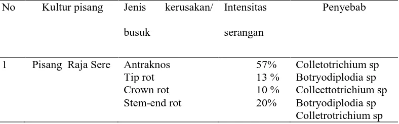 Tabel 3.Serangan busuk pascapanen pada buah pisang 