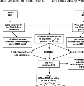Fig. 1. Flow diagram of the puriﬁcation and detection of vitamin D3 metabolites from N