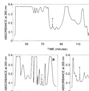 Fig. 2. Isolation of 7-dehydrocholesterol, vitamin D3 and hydroxylated derivatives from N
