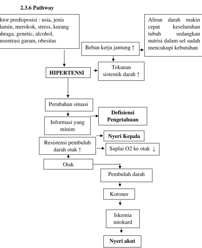 Gambar 2.1 Pathway Pada Lansia Dengan Diagnosa Medis Hipertensi   (Nurarif &amp; Kusuma, 2015)
