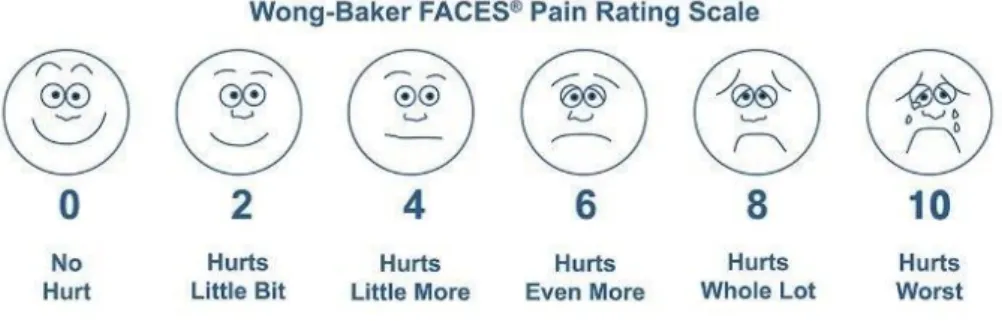 Gambar 2.4 Faces Pain Scale 