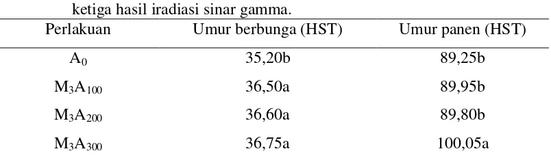 Tabel 2. Rataan pengamatan umur berbunga tanaman (HST) dan umur panen  