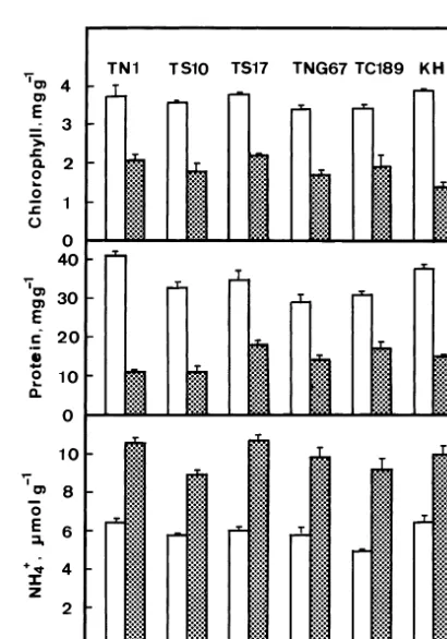 Fig. 2. Effect of light and dark on chlorophyll, protein andammonium contents in detached rice leaves