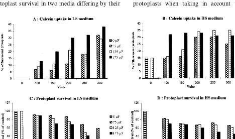 Fig. 1. Effects of electroporation conditions on grapevine leaf protoplasts. (A) Calcein uptake in LS medium; (B) calcein uptakein HS medium; (C) protoplast survival in LS medium; (D) protoplast survival in HS medium