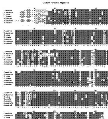 Fig. 4. Sequence alignment of the relatively long glyoxalase I sequences. Identical residues are in bold on a dark background;similar residues are on a grey background